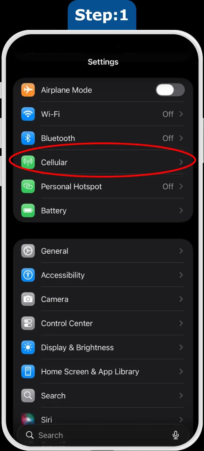 iOS settings screen