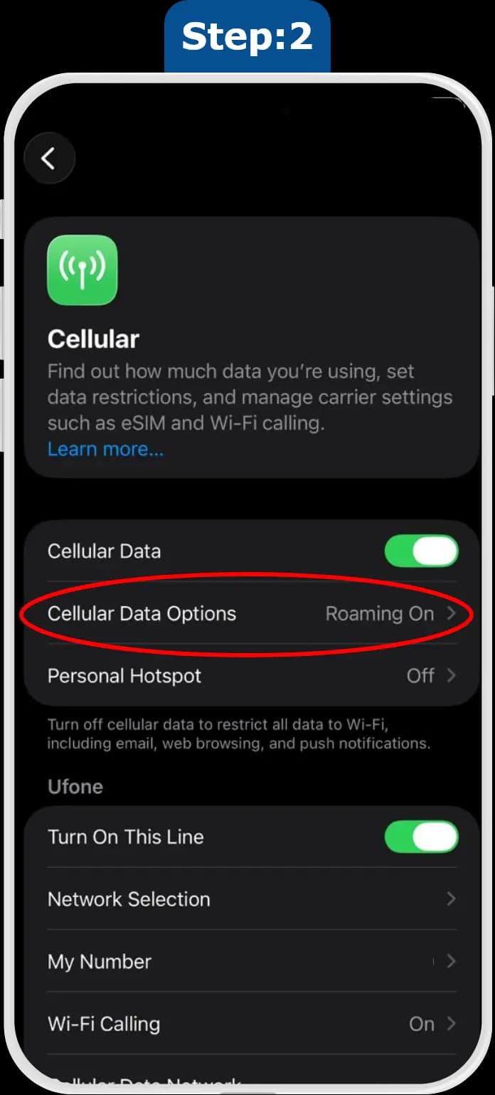 iOS mobile data options screen