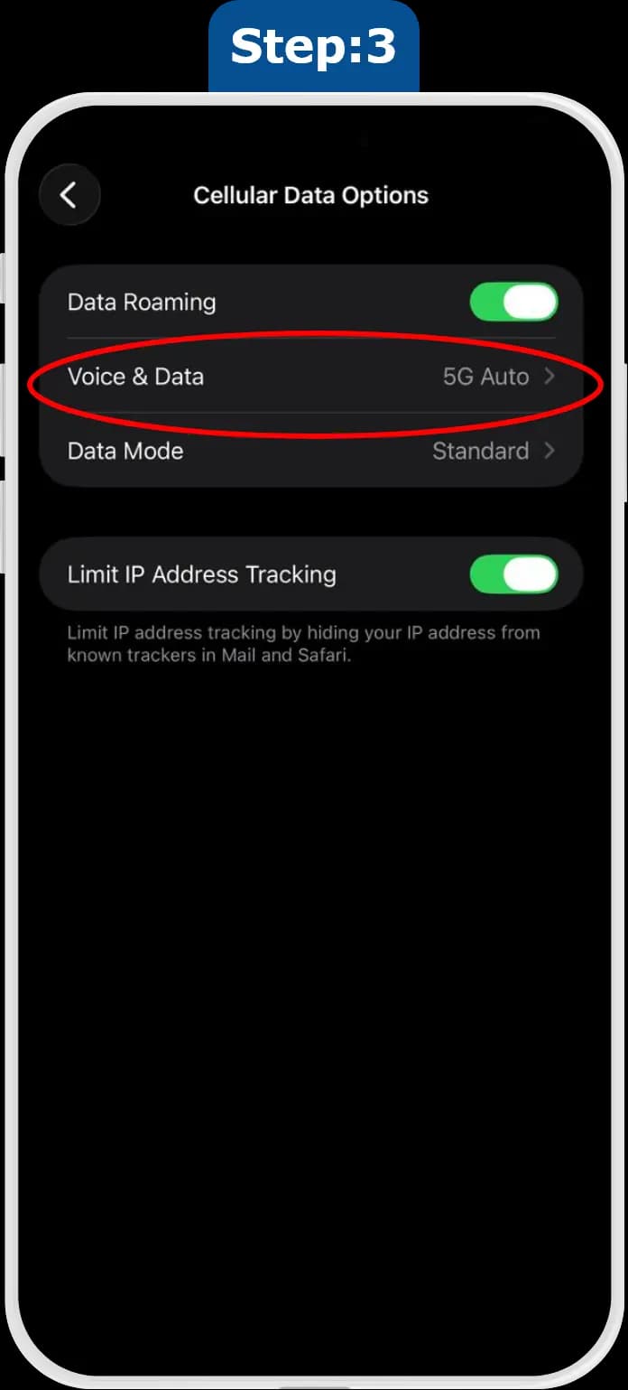 iOS voice and data screen